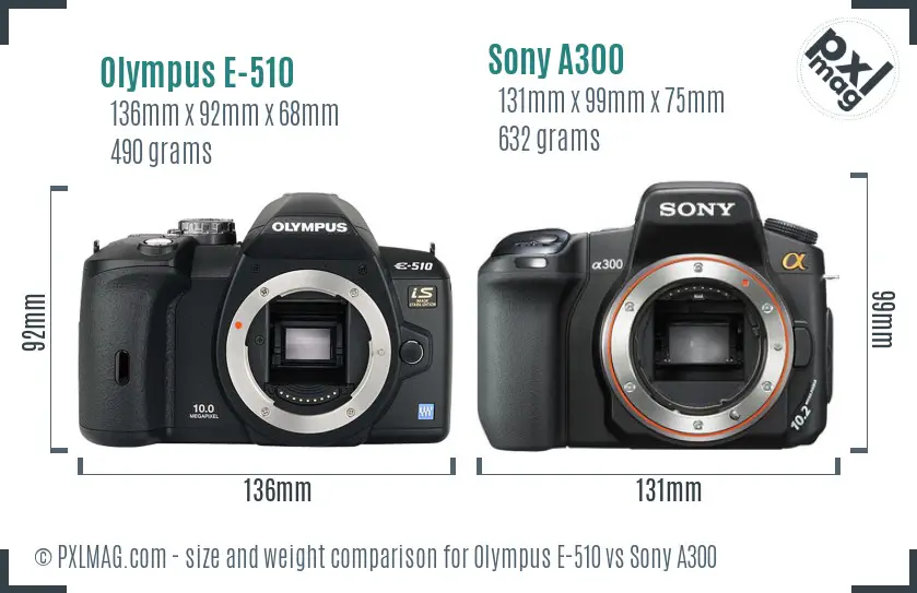 Olympus E-510 vs Sony A300 size comparison