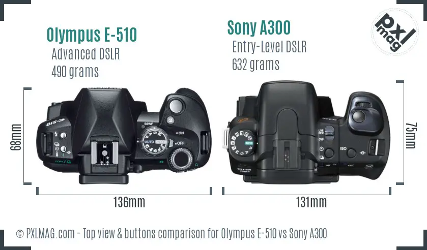 Olympus E-510 vs Sony A300 top view buttons comparison