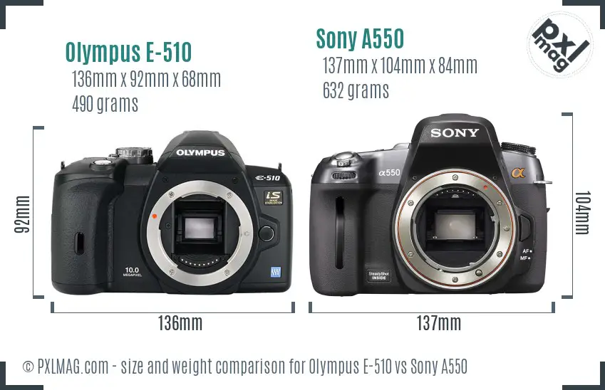 Olympus E-510 vs Sony A550 size comparison