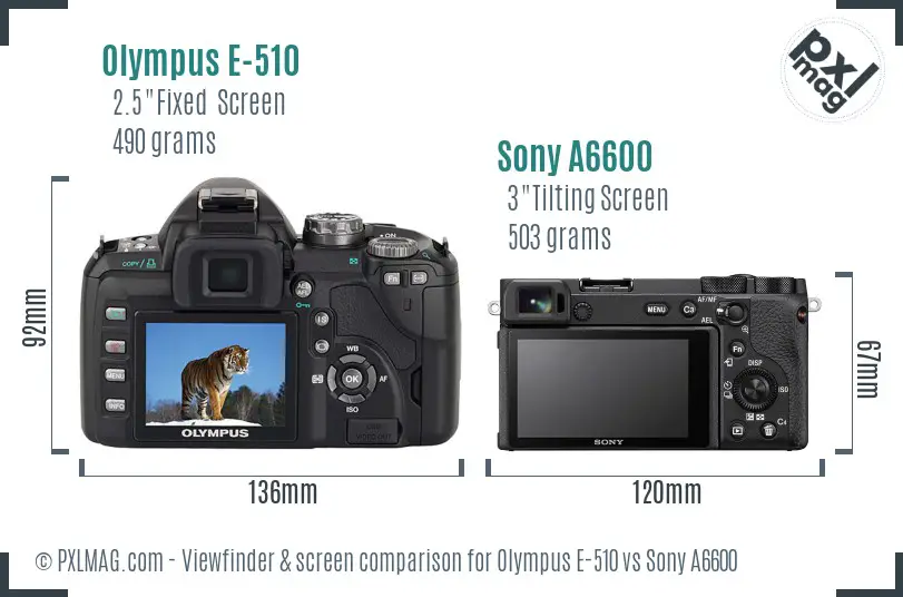 Olympus E-510 vs Sony A6600 Screen and Viewfinder comparison