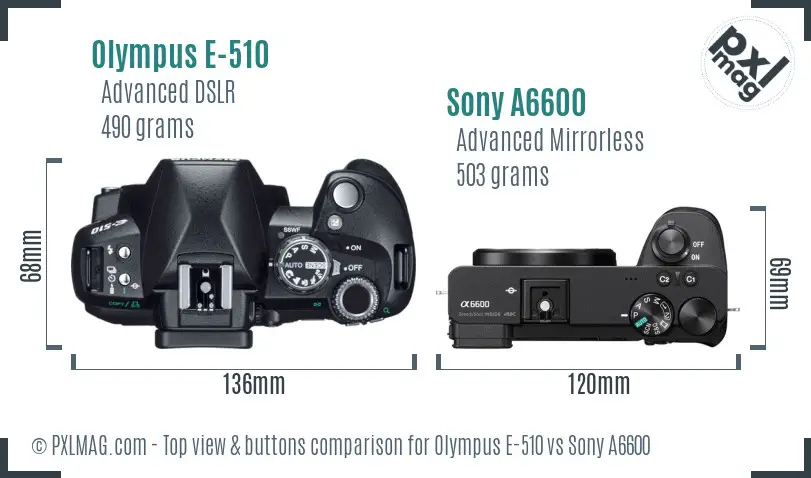 Olympus E-510 vs Sony A6600 top view buttons comparison