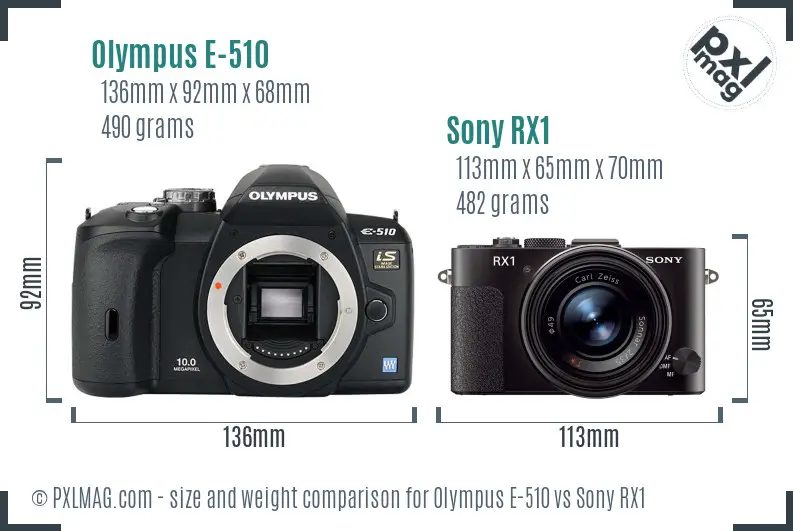 Olympus E-510 vs Sony RX1 size comparison