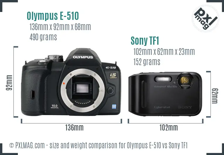 Olympus E-510 vs Sony TF1 size comparison Olympus E-510 vs Sony TF1 size comparison