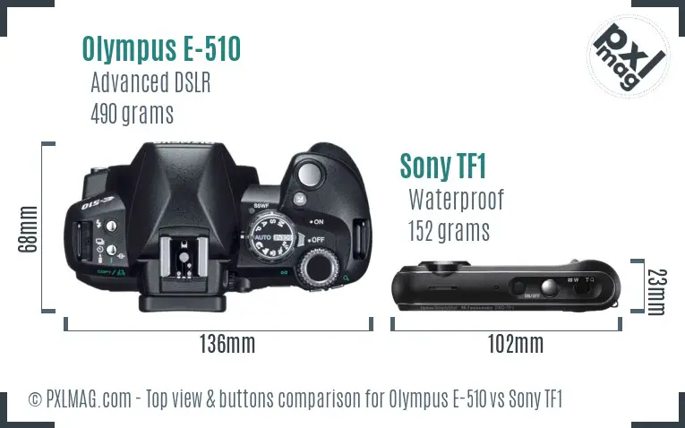 Olympus E-510 vs Sony TF1 top view buttons comparison Olympus E-510 vs Sony TF1 top view buttons comparison