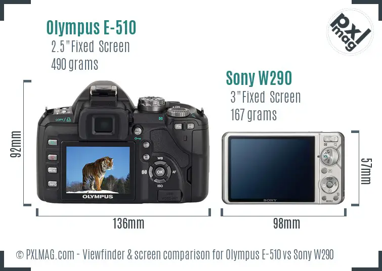 Olympus E-510 vs Sony W290 Screen and Viewfinder comparison
