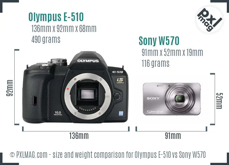 Olympus E-510 vs Sony W570 size comparison