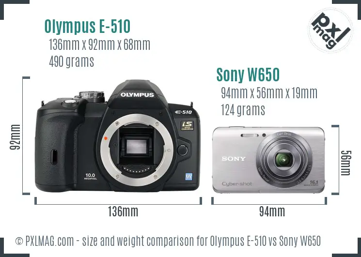 Olympus E-510 vs Sony W650 size comparison