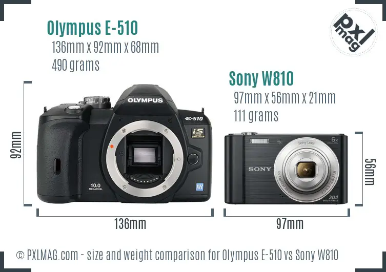 Olympus E-510 vs Sony W810 size comparison