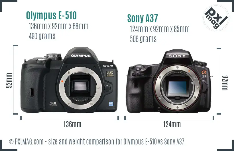 Olympus E-510 vs Sony A37 size comparison