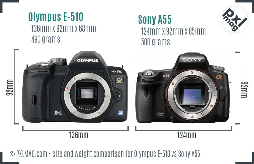 Olympus E-510 vs Sony A55 size comparison