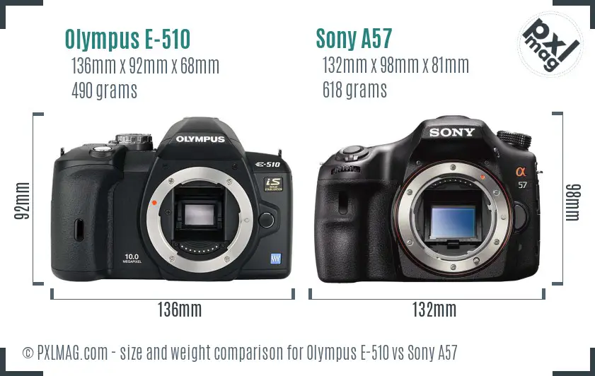 Olympus E-510 vs Sony A57 size comparison Olympus E-510 vs Sony A57 size comparison