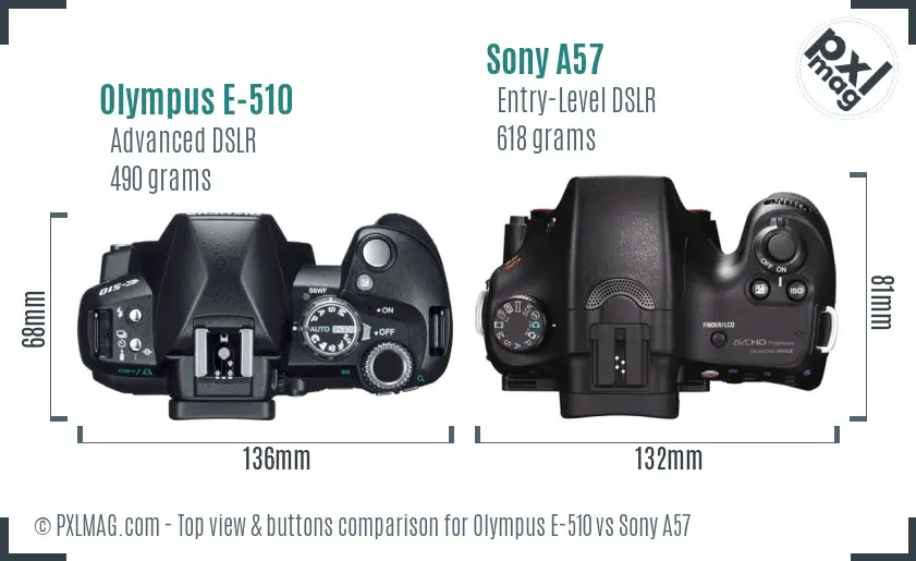 Olympus E-510 vs Sony A57 top view buttons comparison Olympus E-510 vs Sony A57 top view buttons comparison