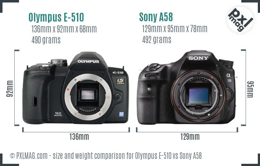 Olympus E-510 vs Sony A58 size comparison