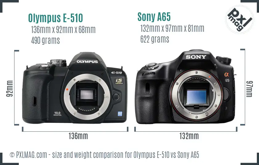 Olympus E-510 vs Sony A65 size comparison