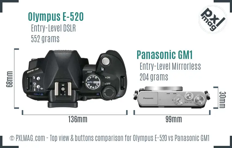 Olympus E-520 vs Panasonic GM1 top view buttons comparison