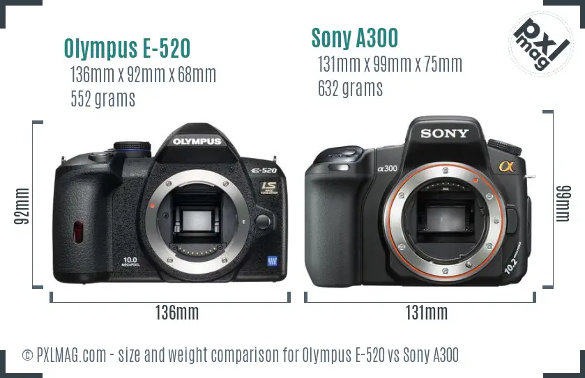 Olympus E-520 vs Sony A300 size comparison