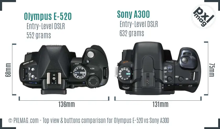 Olympus E-520 vs Sony A300 top view buttons comparison