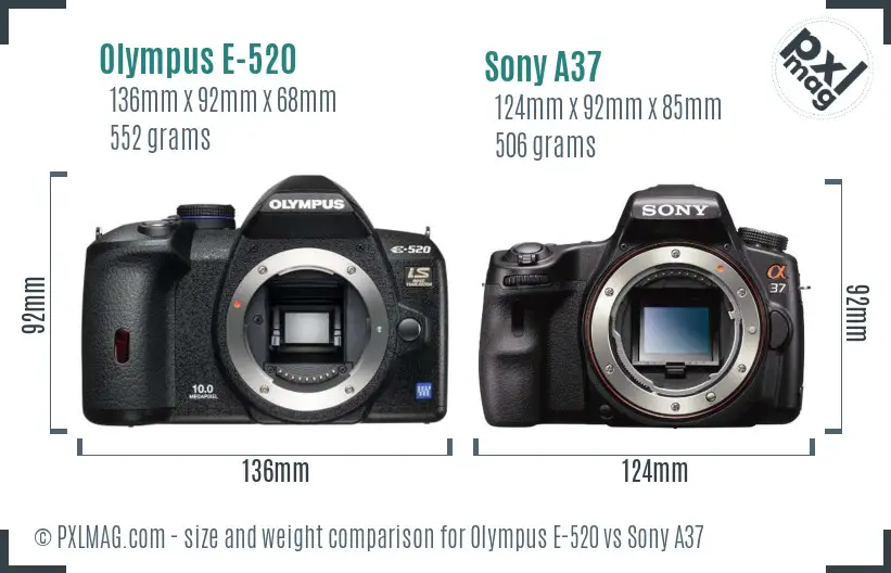 Olympus E-520 vs Sony A37 size comparison