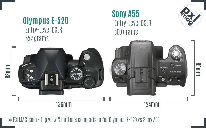 Olympus E-520 vs Sony A55 top view buttons comparison