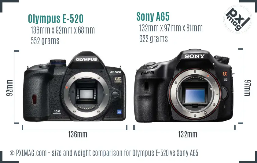Olympus E-520 vs Sony A65 size comparison