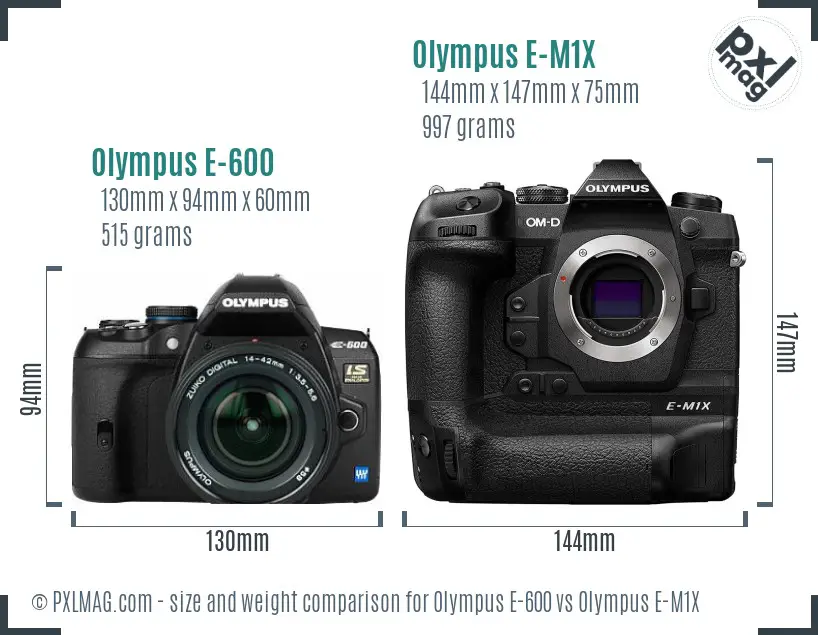 Olympus E-600 vs Olympus E-M1X size comparison