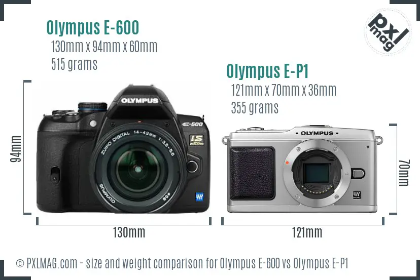 Olympus E-600 vs Olympus E-P1 size comparison