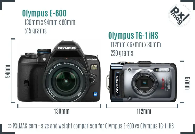 Olympus E-600 vs Olympus TG-1 iHS size comparison