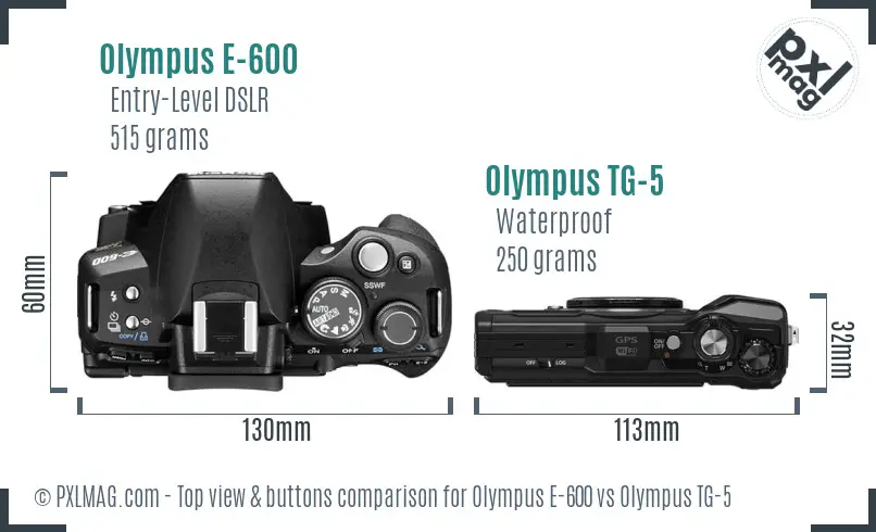 Olympus E-600 vs Olympus TG-5 top view buttons comparison