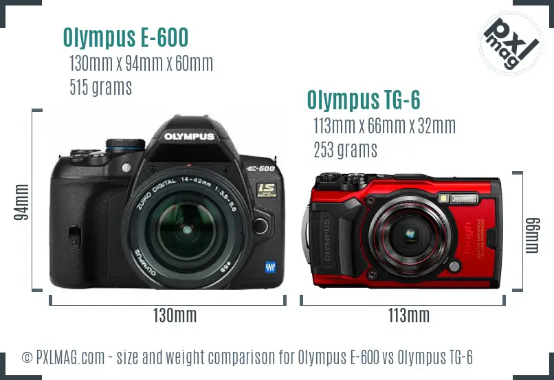 Olympus E-600 vs Olympus TG-6 size comparison