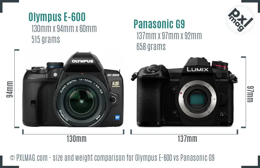 Olympus E-600 vs Panasonic G9 size comparison