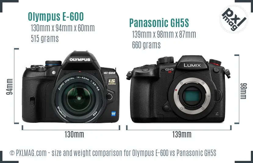 Olympus E-600 vs Panasonic GH5S size comparison