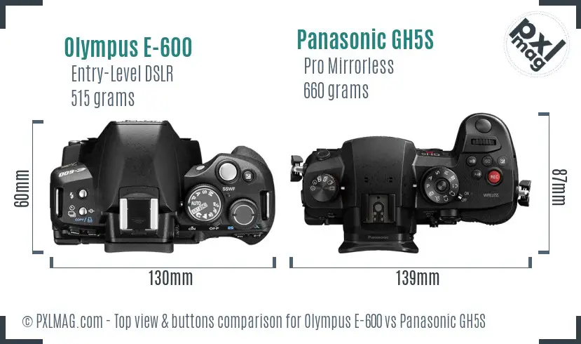 Olympus E-600 vs Panasonic GH5S top view buttons comparison