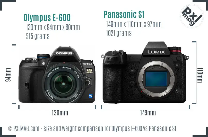 Olympus E-600 vs Panasonic S1 size comparison