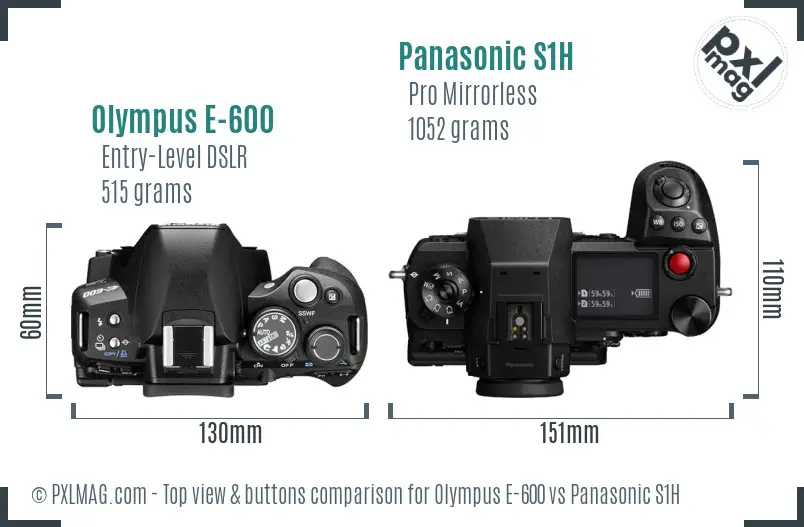 Olympus E-600 vs Panasonic S1H top view buttons comparison