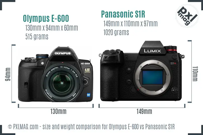 Olympus E-600 vs Panasonic S1R size comparison