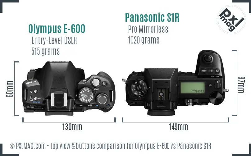 Olympus E-600 vs Panasonic S1R top view buttons comparison