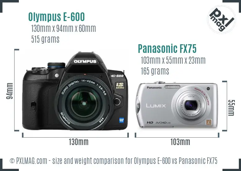 Olympus E-600 vs Panasonic FX75 size comparison