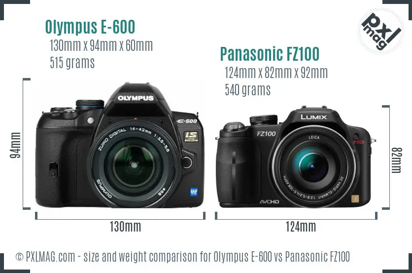 Olympus E-600 vs Panasonic FZ100 size comparison