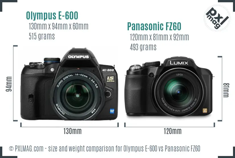 Olympus E-600 vs Panasonic FZ60 size comparison
