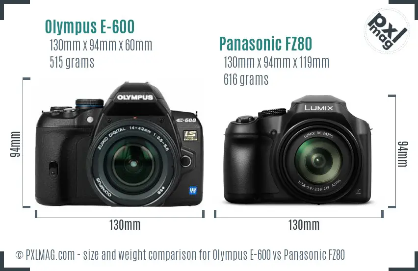 Olympus E-600 vs Panasonic FZ80 size comparison