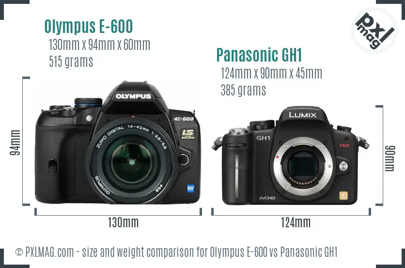 Olympus E-600 vs Panasonic GH1 size comparison