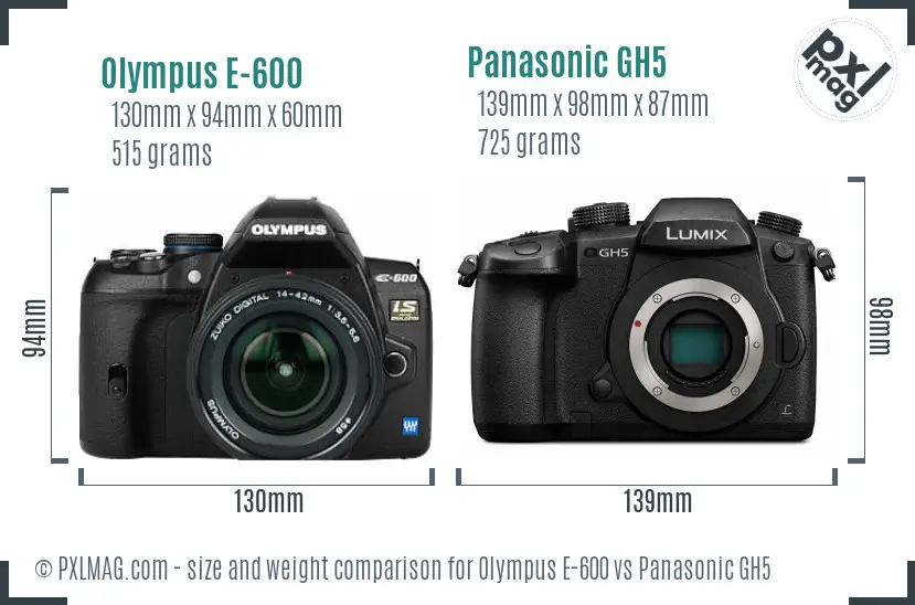 Olympus E-600 vs Panasonic GH5 size comparison