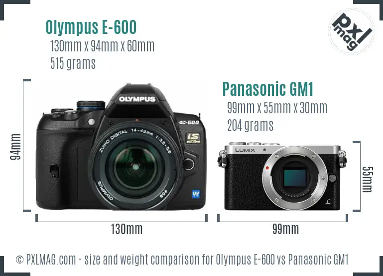 Olympus E-600 vs Panasonic GM1 size comparison
