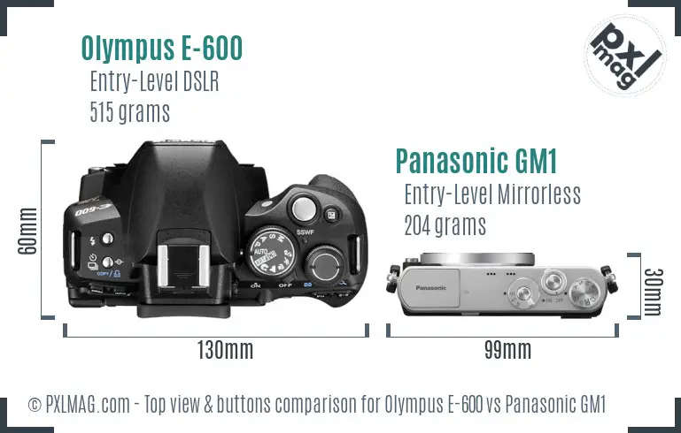 Olympus E-600 vs Panasonic GM1 top view buttons comparison