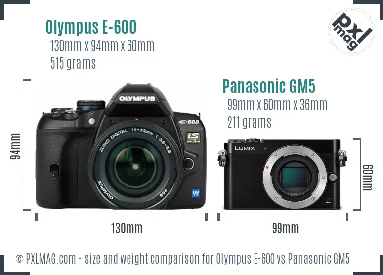 Olympus E-600 vs Panasonic GM5 size comparison