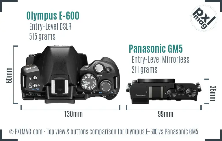 Olympus E-600 vs Panasonic GM5 top view buttons comparison