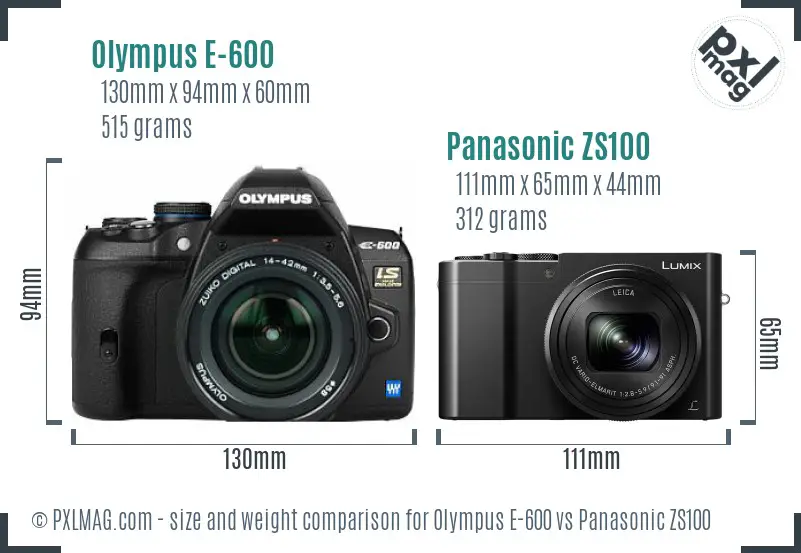 Olympus E-600 vs Panasonic ZS100 size comparison