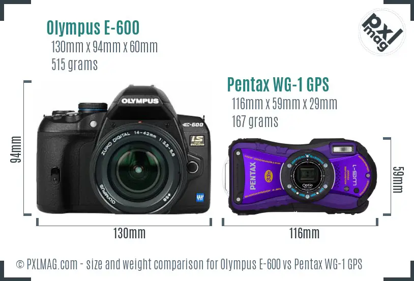 Olympus E-600 vs Pentax WG-1 GPS size comparison