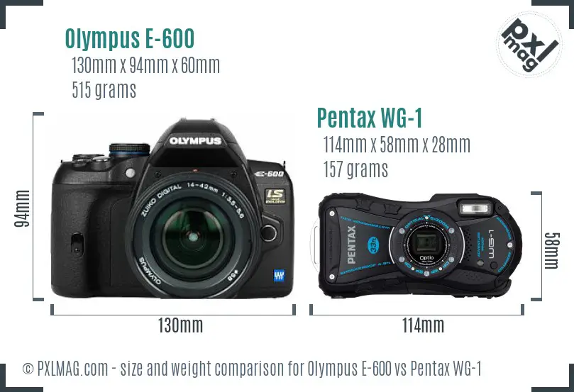 Olympus E-600 vs Pentax WG-1 size comparison