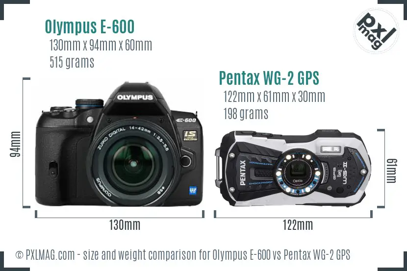 Olympus E-600 vs Pentax WG-2 GPS size comparison